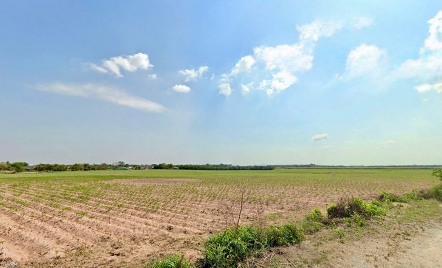 ประกาศฟรี! ซื้อ-ขาย-เช่า คอนโด บ้าน ทาวน์โฮม ที่ดิน และพื้นที่เชิงพาณิชย์ทั่วประเทศไทย ทุกทำเล ทุกงบประมาณ ไม่มีค่าใช้จ่าย ลงง่าย ขายไว เข้าถึงผู้ซื้อโดยตรง 3 313358pic2.jpg