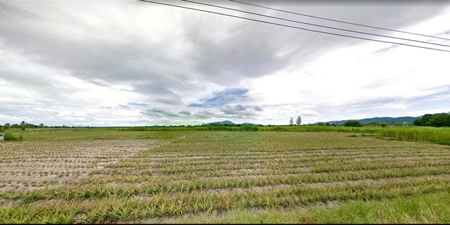 ประกาศฟรี! ซื้อ-ขาย-เช่า คอนโด บ้าน ทาวน์โฮม ที่ดิน และพื้นที่เชิงพาณิชย์ทั่วประเทศไทย ทุกทำเล ทุกงบประมาณ ไม่มีค่าใช้จ่าย ลงง่าย ขายไว เข้าถึงผู้ซื้อโดยตรง 4 313358pic3.jpg