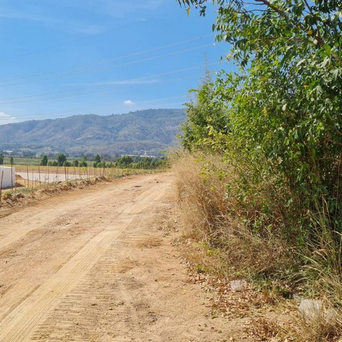 ประกาศฟรี! ซื้อ-ขาย-เช่า คอนโด บ้าน ทาวน์โฮม ที่ดิน และพื้นที่เชิงพาณิชย์ทั่วประเทศไทย ทุกทำเล ทุกงบประมาณ ไม่มีค่าใช้จ่าย ลงง่าย ขายไว เข้าถึงผู้ซื้อโดยตรง 3 313355pic2.jpg