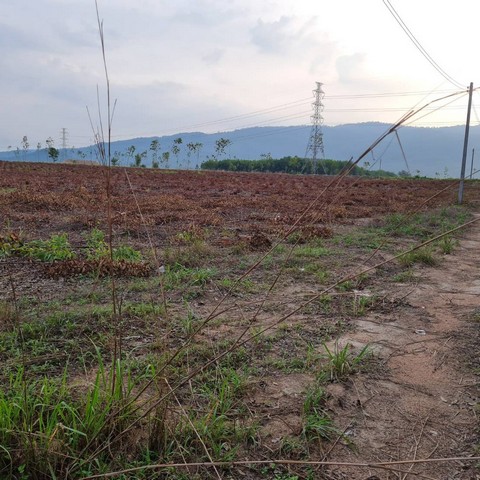 ประกาศฟรี! ซื้อ-ขาย-เช่า คอนโด บ้าน ทาวน์โฮม ที่ดิน และพื้นที่เชิงพาณิชย์ทั่วประเทศไทย ทุกทำเล ทุกงบประมาณ ไม่มีค่าใช้จ่าย ลงง่าย ขายไว เข้าถึงผู้ซื้อโดยตรง 5 313355pic4.jpg