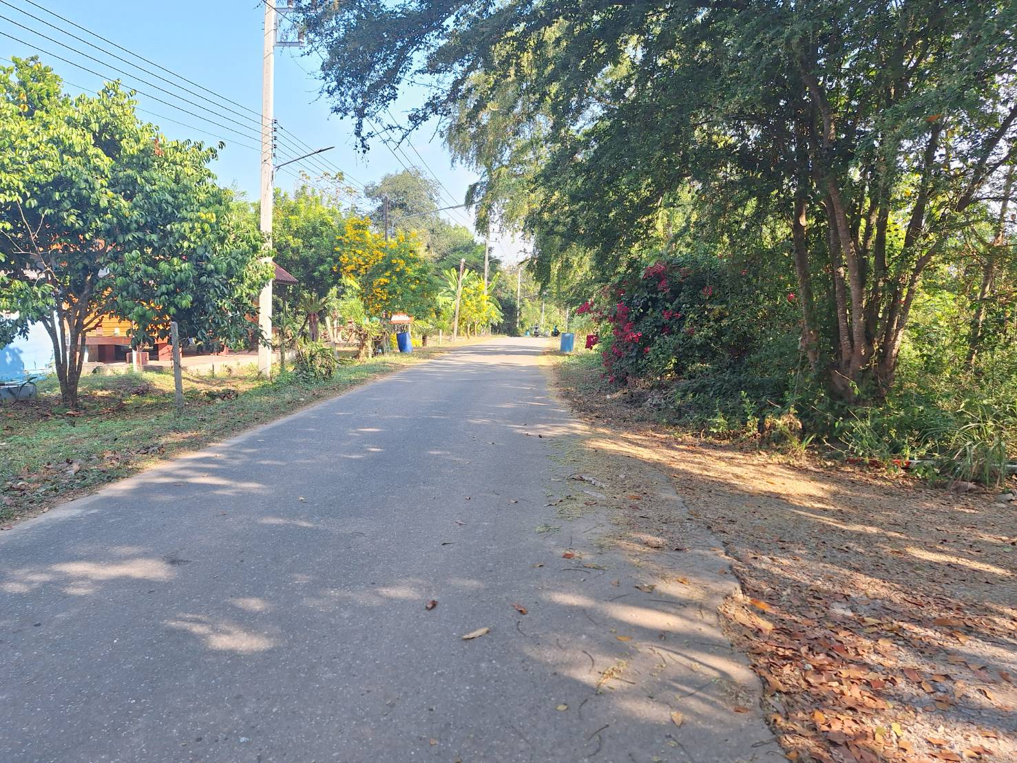 ประกาศฟรี! ซื้อ-ขาย-เช่า คอนโด บ้าน ทาวน์โฮม ที่ดิน และพื้นที่เชิงพาณิชย์ทั่วประเทศไทย ทุกทำเล ทุกงบประมาณ ไม่มีค่าใช้จ่าย ลงง่าย ขายไว เข้าถึงผู้ซื้อโดยตรง 2 293579pic1.jpg