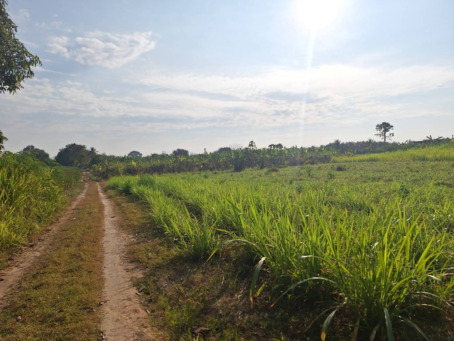 ประกาศฟรี! ซื้อ-ขาย-เช่า คอนโด บ้าน ทาวน์โฮม ที่ดิน และพื้นที่เชิงพาณิชย์ทั่วประเทศไทย ทุกทำเล ทุกงบประมาณ ไม่มีค่าใช้จ่าย ลงง่าย ขายไว เข้าถึงผู้ซื้อโดยตรง 5 293579pic4.jpg