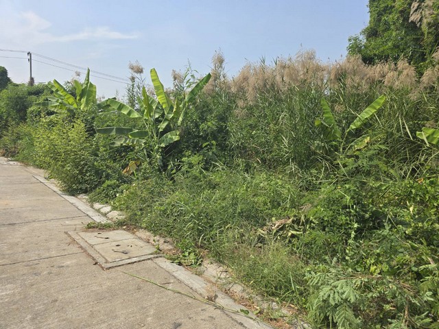 ประกาศฟรี! ซื้อ-ขาย-เช่า คอนโด บ้าน ทาวน์โฮม ที่ดิน และพื้นที่เชิงพาณิชย์ทั่วประเทศไทย ทุกทำเล ทุกงบประมาณ ไม่มีค่าใช้จ่าย ลงง่าย ขายไว เข้าถึงผู้ซื้อโดยตรง 3 285006pic2.jpg