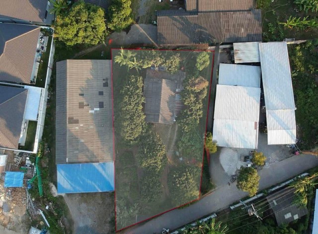 ประกาศฟรี! ซื้อ-ขาย-เช่า คอนโด บ้าน ทาวน์โฮม ที่ดิน และพื้นที่เชิงพาณิชย์ทั่วประเทศไทย ทุกทำเล ทุกงบประมาณ ไม่มีค่าใช้จ่าย ลงง่าย ขายไว เข้าถึงผู้ซื้อโดยตรง 2 293583pic1.jpg