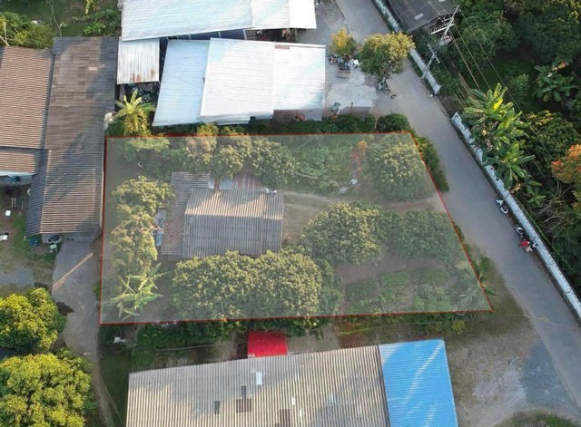 ประกาศฟรี! ซื้อ-ขาย-เช่า คอนโด บ้าน ทาวน์โฮม ที่ดิน และพื้นที่เชิงพาณิชย์ทั่วประเทศไทย ทุกทำเล ทุกงบประมาณ ไม่มีค่าใช้จ่าย ลงง่าย ขายไว เข้าถึงผู้ซื้อโดยตรง 3 293583pic2.jpg