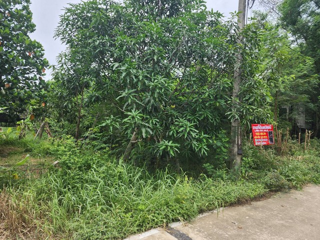 ประกาศฟรี! ซื้อ-ขาย-เช่า คอนโด บ้าน ทาวน์โฮม ที่ดิน และพื้นที่เชิงพาณิชย์ทั่วประเทศไทย ทุกทำเล ทุกงบประมาณ ไม่มีค่าใช้จ่าย ลงง่าย ขายไว เข้าถึงผู้ซื้อโดยตรง 3 16235pic2.jpg