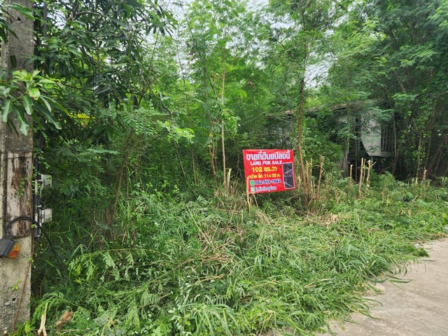 ประกาศฟรี! ซื้อ-ขาย-เช่า คอนโด บ้าน ทาวน์โฮม ที่ดิน และพื้นที่เชิงพาณิชย์ทั่วประเทศไทย ทุกทำเล ทุกงบประมาณ ไม่มีค่าใช้จ่าย ลงง่าย ขายไว เข้าถึงผู้ซื้อโดยตรง 5 16235pic4.jpg