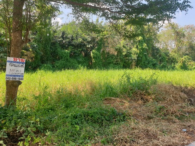 ประกาศฟรี! ซื้อ-ขาย-เช่า คอนโด บ้าน ทาวน์โฮม ที่ดิน และพื้นที่เชิงพาณิชย์ทั่วประเทศไทย ทุกทำเล ทุกงบประมาณ ไม่มีค่าใช้จ่าย ลงง่าย ขายไว เข้าถึงผู้ซื้อโดยตรง 4 13906pic3.jpg