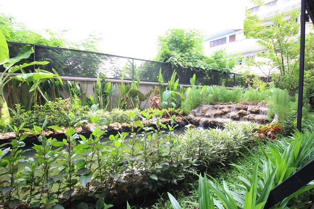 ประกาศฟรี! ซื้อ-ขาย-เช่า คอนโด บ้าน ทาวน์โฮม ที่ดิน และพื้นที่เชิงพาณิชย์ทั่วประเทศไทย ทุกทำเล ทุกงบประมาณ ไม่มีค่าใช้จ่าย ลงง่าย ขายไว เข้าถึงผู้ซื้อโดยตรง 2 312968pic1.jpg