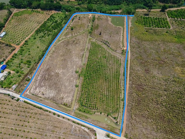 ประกาศฟรี! ซื้อ-ขาย-เช่า คอนโด บ้าน ทาวน์โฮม ที่ดิน และพื้นที่เชิงพาณิชย์ทั่วประเทศไทย ทุกทำเล ทุกงบประมาณ ไม่มีค่าใช้จ่าย ลงง่าย ขายไว เข้าถึงผู้ซื้อโดยตรง 4 6914pic3.jpg