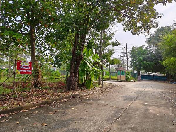 ประกาศฟรี! ซื้อ-ขาย-เช่า คอนโด บ้าน ทาวน์โฮม ที่ดิน และพื้นที่เชิงพาณิชย์ทั่วประเทศไทย ทุกทำเล ทุกงบประมาณ ไม่มีค่าใช้จ่าย ลงง่าย ขายไว เข้าถึงผู้ซื้อโดยตรง 2 510235pic1.jpg