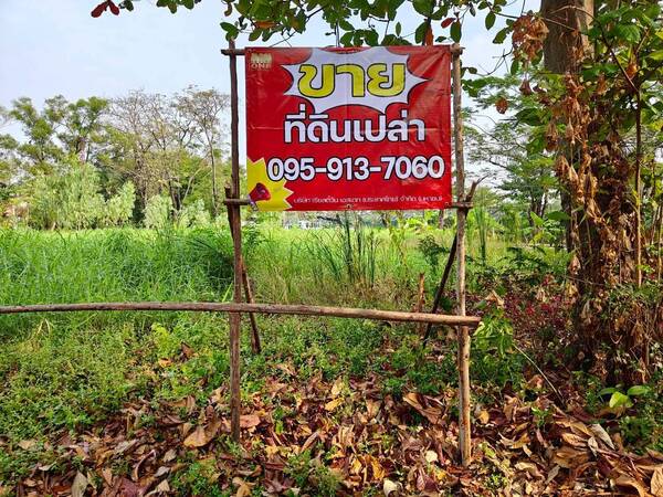 ประกาศฟรี! ซื้อ-ขาย-เช่า คอนโด บ้าน ทาวน์โฮม ที่ดิน และพื้นที่เชิงพาณิชย์ทั่วประเทศไทย ทุกทำเล ทุกงบประมาณ ไม่มีค่าใช้จ่าย ลงง่าย ขายไว เข้าถึงผู้ซื้อโดยตรง 3 510235pic2.jpg