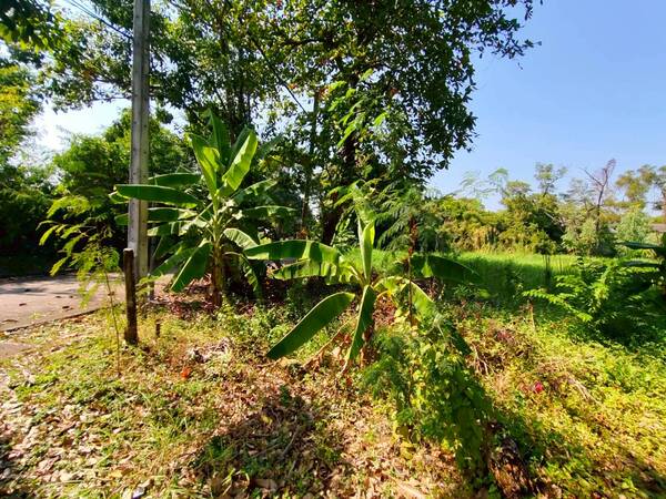 ประกาศฟรี! ซื้อ-ขาย-เช่า คอนโด บ้าน ทาวน์โฮม ที่ดิน และพื้นที่เชิงพาณิชย์ทั่วประเทศไทย ทุกทำเล ทุกงบประมาณ ไม่มีค่าใช้จ่าย ลงง่าย ขายไว เข้าถึงผู้ซื้อโดยตรง 4 510235pic3.jpg