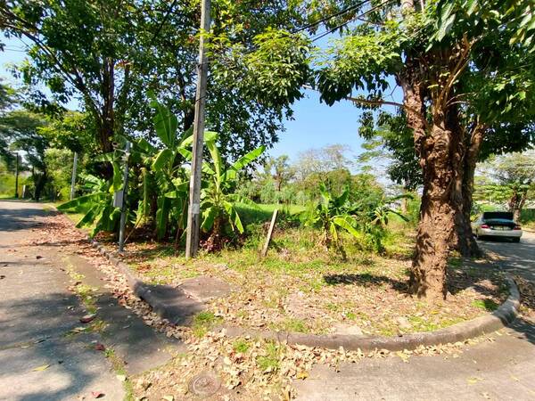 ประกาศฟรี! ซื้อ-ขาย-เช่า คอนโด บ้าน ทาวน์โฮม ที่ดิน และพื้นที่เชิงพาณิชย์ทั่วประเทศไทย ทุกทำเล ทุกงบประมาณ ไม่มีค่าใช้จ่าย ลงง่าย ขายไว เข้าถึงผู้ซื้อโดยตรง 5 510235pic4.jpg