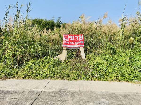 ประกาศฟรี! ซื้อ-ขาย-เช่า คอนโด บ้าน ทาวน์โฮม ที่ดิน และพื้นที่เชิงพาณิชย์ทั่วประเทศไทย ทุกทำเล ทุกงบประมาณ ไม่มีค่าใช้จ่าย ลงง่าย ขายไว เข้าถึงผู้ซื้อโดยตรง 2 510233pic1.jpg