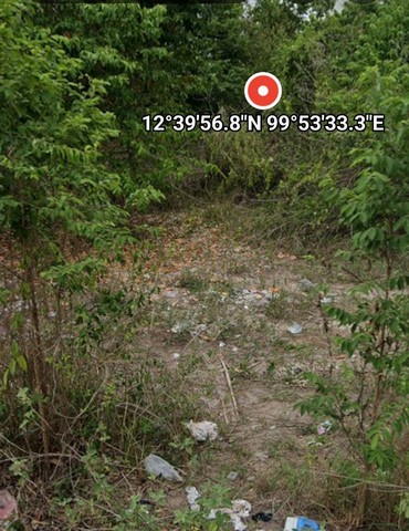 ประกาศฟรี! ซื้อ-ขาย-เช่า คอนโด บ้าน ทาวน์โฮม ที่ดิน และพื้นที่เชิงพาณิชย์ทั่วประเทศไทย ทุกทำเล ทุกงบประมาณ ไม่มีค่าใช้จ่าย ลงง่าย ขายไว เข้าถึงผู้ซื้อโดยตรง 3 247905pic2.jpg