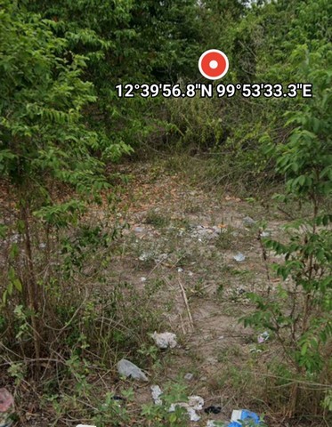 ประกาศฟรี! ซื้อ-ขาย-เช่า คอนโด บ้าน ทาวน์โฮม ที่ดิน และพื้นที่เชิงพาณิชย์ทั่วประเทศไทย ทุกทำเล ทุกงบประมาณ ไม่มีค่าใช้จ่าย ลงง่าย ขายไว เข้าถึงผู้ซื้อโดยตรง 4 247905pic3.jpg