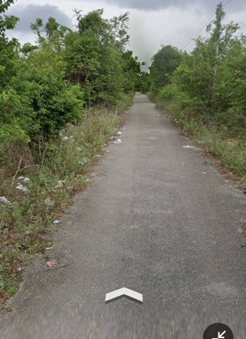 ประกาศฟรี! ซื้อ-ขาย-เช่า คอนโด บ้าน ทาวน์โฮม ที่ดิน และพื้นที่เชิงพาณิชย์ทั่วประเทศไทย ทุกทำเล ทุกงบประมาณ ไม่มีค่าใช้จ่าย ลงง่าย ขายไว เข้าถึงผู้ซื้อโดยตรง 5 247905pic4.jpg