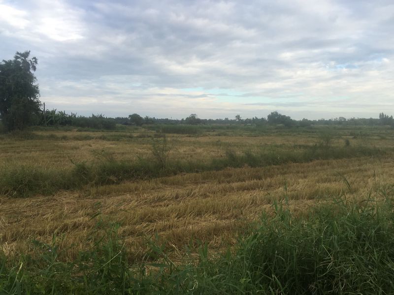 ประกาศฟรี! ซื้อ-ขาย-เช่า คอนโด บ้าน ทาวน์โฮม ที่ดิน และพื้นที่เชิงพาณิชย์ทั่วประเทศไทย ทุกทำเล ทุกงบประมาณ ไม่มีค่าใช้จ่าย ลงง่าย ขายไว เข้าถึงผู้ซื้อโดยตรง 2 308301pic1.jpg