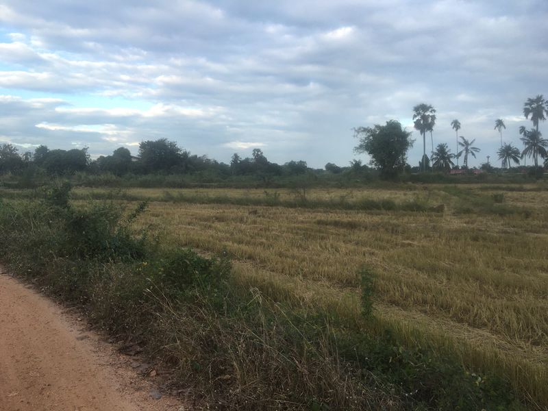 ประกาศฟรี! ซื้อ-ขาย-เช่า คอนโด บ้าน ทาวน์โฮม ที่ดิน และพื้นที่เชิงพาณิชย์ทั่วประเทศไทย ทุกทำเล ทุกงบประมาณ ไม่มีค่าใช้จ่าย ลงง่าย ขายไว เข้าถึงผู้ซื้อโดยตรง 4 308301pic3.jpg