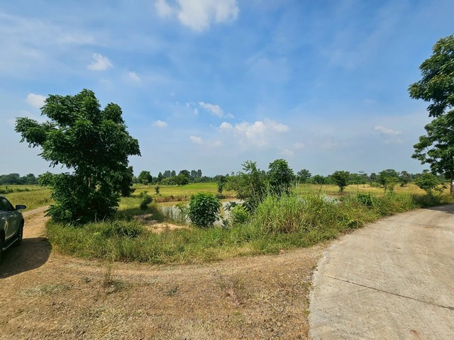 ประกาศฟรี! ซื้อ-ขาย-เช่า คอนโด บ้าน ทาวน์โฮม ที่ดิน และพื้นที่เชิงพาณิชย์ทั่วประเทศไทย ทุกทำเล ทุกงบประมาณ ไม่มีค่าใช้จ่าย ลงง่าย ขายไว เข้าถึงผู้ซื้อโดยตรง 2 300624pic1.jpg