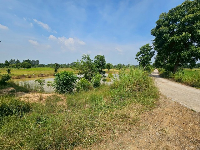 ประกาศฟรี! ซื้อ-ขาย-เช่า คอนโด บ้าน ทาวน์โฮม ที่ดิน และพื้นที่เชิงพาณิชย์ทั่วประเทศไทย ทุกทำเล ทุกงบประมาณ ไม่มีค่าใช้จ่าย ลงง่าย ขายไว เข้าถึงผู้ซื้อโดยตรง 3 300624pic2.jpg