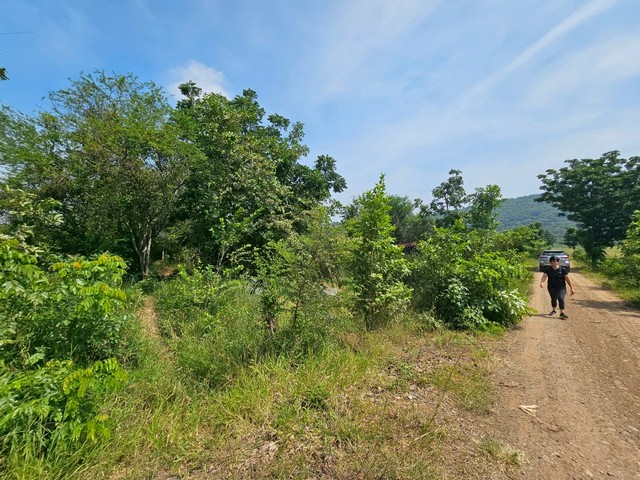 ประกาศฟรี! ซื้อ-ขาย-เช่า คอนโด บ้าน ทาวน์โฮม ที่ดิน และพื้นที่เชิงพาณิชย์ทั่วประเทศไทย ทุกทำเล ทุกงบประมาณ ไม่มีค่าใช้จ่าย ลงง่าย ขายไว เข้าถึงผู้ซื้อโดยตรง 4 300624pic3.jpg