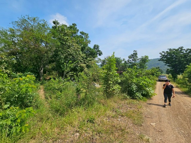 ประกาศฟรี! ซื้อ-ขาย-เช่า คอนโด บ้าน ทาวน์โฮม ที่ดิน และพื้นที่เชิงพาณิชย์ทั่วประเทศไทย ทุกทำเล ทุกงบประมาณ ไม่มีค่าใช้จ่าย ลงง่าย ขายไว เข้าถึงผู้ซื้อโดยตรง 5 300624pic4.jpg