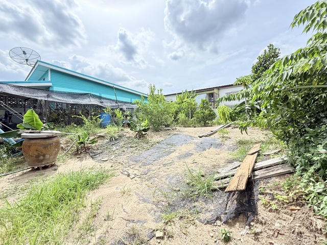 ประกาศฟรี! ซื้อ-ขาย-เช่า คอนโด บ้าน ทาวน์โฮม ที่ดิน และพื้นที่เชิงพาณิชย์ทั่วประเทศไทย ทุกทำเล ทุกงบประมาณ ไม่มีค่าใช้จ่าย ลงง่าย ขายไว เข้าถึงผู้ซื้อโดยตรง 5 501148pic4.jpg