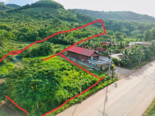 ประกาศฟรี! ซื้อ-ขาย-เช่า คอนโด บ้าน ทาวน์โฮม ที่ดิน และพื้นที่เชิงพาณิชย์ทั่วประเทศไทย ทุกทำเล ทุกงบประมาณ ไม่มีค่าใช้จ่าย ลงง่าย ขายไว เข้าถึงผู้ซื้อโดยตรง 3 247857pic2.jpg