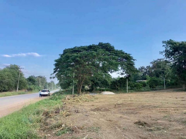 ประกาศฟรี! ซื้อ-ขาย-เช่า คอนโด บ้าน ทาวน์โฮม ที่ดิน และพื้นที่เชิงพาณิชย์ทั่วประเทศไทย ทุกทำเล ทุกงบประมาณ ไม่มีค่าใช้จ่าย ลงง่าย ขายไว เข้าถึงผู้ซื้อโดยตรง 4 247857pic3.jpg