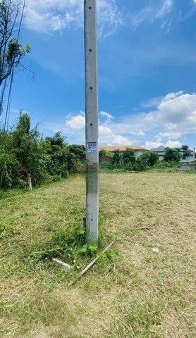 ประกาศฟรี! ซื้อ-ขาย-เช่า คอนโด บ้าน ทาวน์โฮม ที่ดิน และพื้นที่เชิงพาณิชย์ทั่วประเทศไทย ทุกทำเล ทุกงบประมาณ ไม่มีค่าใช้จ่าย ลงง่าย ขายไว เข้าถึงผู้ซื้อโดยตรง 3 248414pic2.jpg