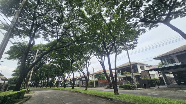 ประกาศฟรี! ซื้อ-ขาย-เช่า คอนโด บ้าน ทาวน์โฮม ที่ดิน และพื้นที่เชิงพาณิชย์ทั่วประเทศไทย ทุกทำเล ทุกงบประมาณ ไม่มีค่าใช้จ่าย ลงง่าย ขายไว เข้าถึงผู้ซื้อโดยตรง 2 293476pic1.jpg