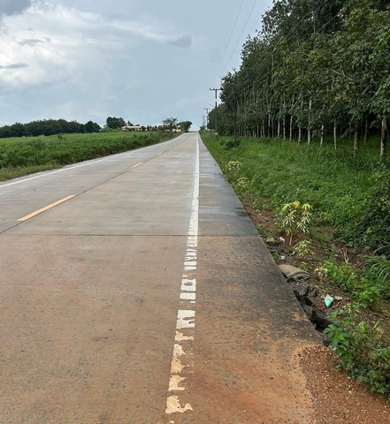 ประกาศฟรี! ซื้อ-ขาย-เช่า คอนโด บ้าน ทาวน์โฮม ที่ดิน และพื้นที่เชิงพาณิชย์ทั่วประเทศไทย ทุกทำเล ทุกงบประมาณ ไม่มีค่าใช้จ่าย ลงง่าย ขายไว เข้าถึงผู้ซื้อโดยตรง 5 313533pic4.jpg