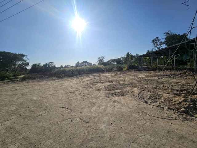 ประกาศฟรี! ซื้อ-ขาย-เช่า คอนโด บ้าน ทาวน์โฮม ที่ดิน และพื้นที่เชิงพาณิชย์ทั่วประเทศไทย ทุกทำเล ทุกงบประมาณ ไม่มีค่าใช้จ่าย ลงง่าย ขายไว เข้าถึงผู้ซื้อโดยตรง 3 313531pic2.jpg