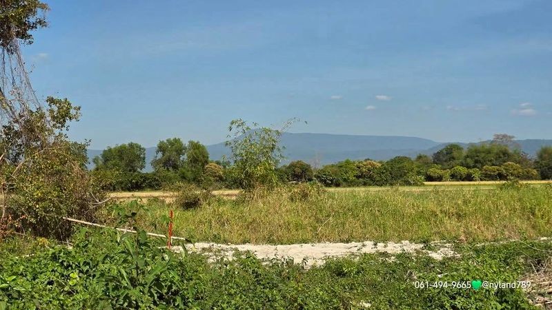 ประกาศฟรี! ซื้อ-ขาย-เช่า คอนโด บ้าน ทาวน์โฮม ที่ดิน และพื้นที่เชิงพาณิชย์ทั่วประเทศไทย ทุกทำเล ทุกงบประมาณ ไม่มีค่าใช้จ่าย ลงง่าย ขายไว เข้าถึงผู้ซื้อโดยตรง 2 510776pic1.jpg