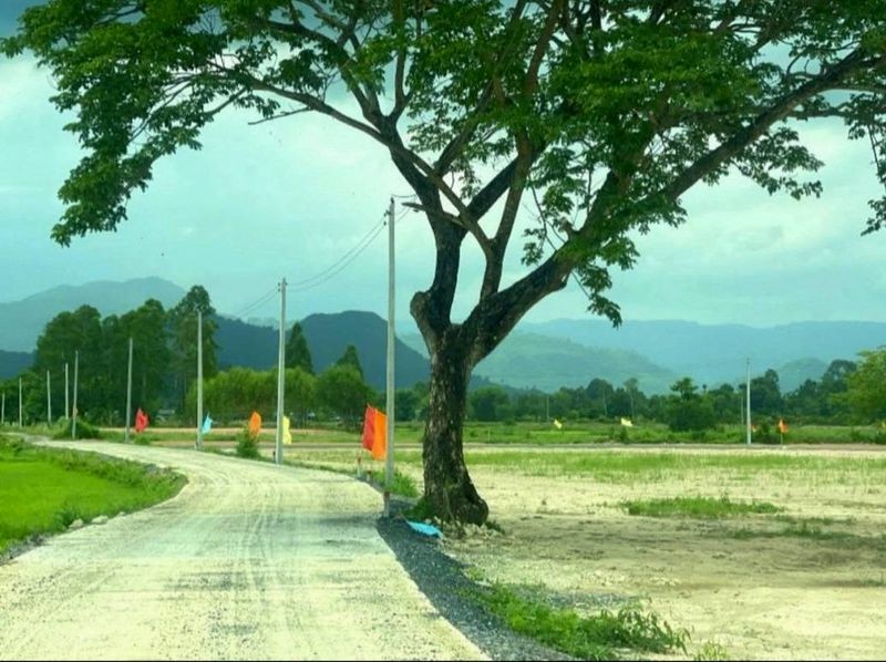 ประกาศฟรี! ซื้อ-ขาย-เช่า คอนโด บ้าน ทาวน์โฮม ที่ดิน และพื้นที่เชิงพาณิชย์ทั่วประเทศไทย ทุกทำเล ทุกงบประมาณ ไม่มีค่าใช้จ่าย ลงง่าย ขายไว เข้าถึงผู้ซื้อโดยตรง 2 510775pic1.jpg