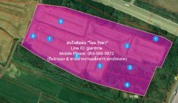 ประกาศฟรี! ซื้อ-ขาย-เช่า คอนโด บ้าน ทาวน์โฮม ที่ดิน และพื้นที่เชิงพาณิชย์ทั่วประเทศไทย ทุกทำเล ทุกงบประมาณ ไม่มีค่าใช้จ่าย ลงง่าย ขายไว เข้าถึงผู้ซื้อโดยตรง 2 282326pic1.jpg