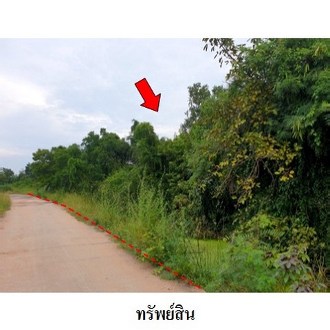 ประกาศฟรี! ซื้อ-ขาย-เช่า คอนโด บ้าน ทาวน์โฮม ที่ดิน และพื้นที่เชิงพาณิชย์ทั่วประเทศไทย ทุกทำเล ทุกงบประมาณ ไม่มีค่าใช้จ่าย ลงง่าย ขายไว เข้าถึงผู้ซื้อโดยตรง 3 235816pic2.jpg