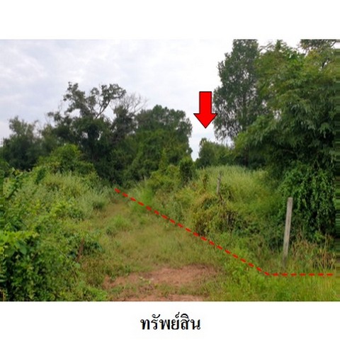 ประกาศฟรี! ซื้อ-ขาย-เช่า คอนโด บ้าน ทาวน์โฮม ที่ดิน และพื้นที่เชิงพาณิชย์ทั่วประเทศไทย ทุกทำเล ทุกงบประมาณ ไม่มีค่าใช้จ่าย ลงง่าย ขายไว เข้าถึงผู้ซื้อโดยตรง 4 235816pic3.jpg