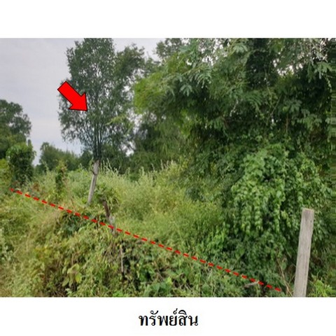 ประกาศฟรี! ซื้อ-ขาย-เช่า คอนโด บ้าน ทาวน์โฮม ที่ดิน และพื้นที่เชิงพาณิชย์ทั่วประเทศไทย ทุกทำเล ทุกงบประมาณ ไม่มีค่าใช้จ่าย ลงง่าย ขายไว เข้าถึงผู้ซื้อโดยตรง 5 235816pic4.jpg