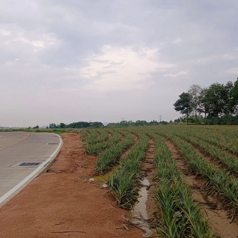 ประกาศฟรี! ซื้อ-ขาย-เช่า คอนโด บ้าน ทาวน์โฮม ที่ดิน และพื้นที่เชิงพาณิชย์ทั่วประเทศไทย ทุกทำเล ทุกงบประมาณ ไม่มีค่าใช้จ่าย ลงง่าย ขายไว เข้าถึงผู้ซื้อโดยตรง 4 294831pic3.jpg