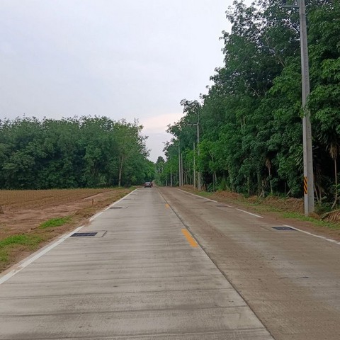 ประกาศฟรี! ซื้อ-ขาย-เช่า คอนโด บ้าน ทาวน์โฮม ที่ดิน และพื้นที่เชิงพาณิชย์ทั่วประเทศไทย ทุกทำเล ทุกงบประมาณ ไม่มีค่าใช้จ่าย ลงง่าย ขายไว เข้าถึงผู้ซื้อโดยตรง 5 294831pic4.jpg