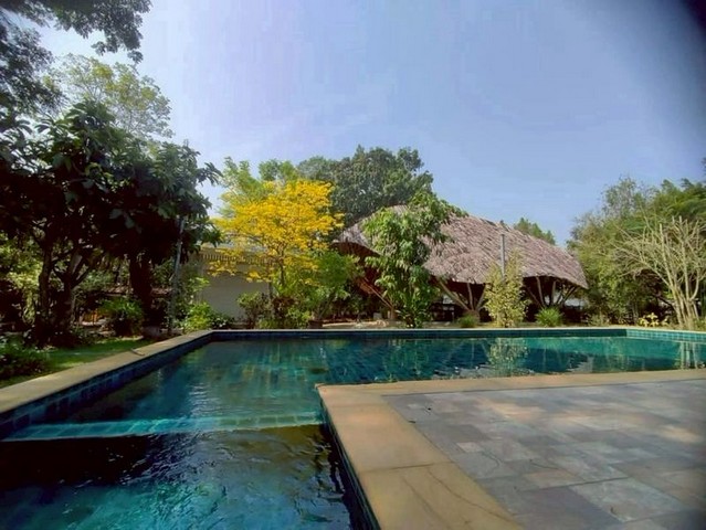 ประกาศฟรี! ซื้อ-ขาย-เช่า คอนโด บ้าน ทาวน์โฮม ที่ดิน และพื้นที่เชิงพาณิชย์ทั่วประเทศไทย ทุกทำเล ทุกงบประมาณ ไม่มีค่าใช้จ่าย ลงง่าย ขายไว เข้าถึงผู้ซื้อโดยตรง 3 248832pic2.jpg