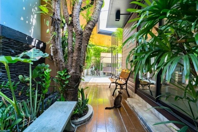 ประกาศฟรี! ซื้อ-ขาย-เช่า คอนโด บ้าน ทาวน์โฮม ที่ดิน และพื้นที่เชิงพาณิชย์ทั่วประเทศไทย ทุกทำเล ทุกงบประมาณ ไม่มีค่าใช้จ่าย ลงง่าย ขายไว เข้าถึงผู้ซื้อโดยตรง 3 164833pic2.jpg