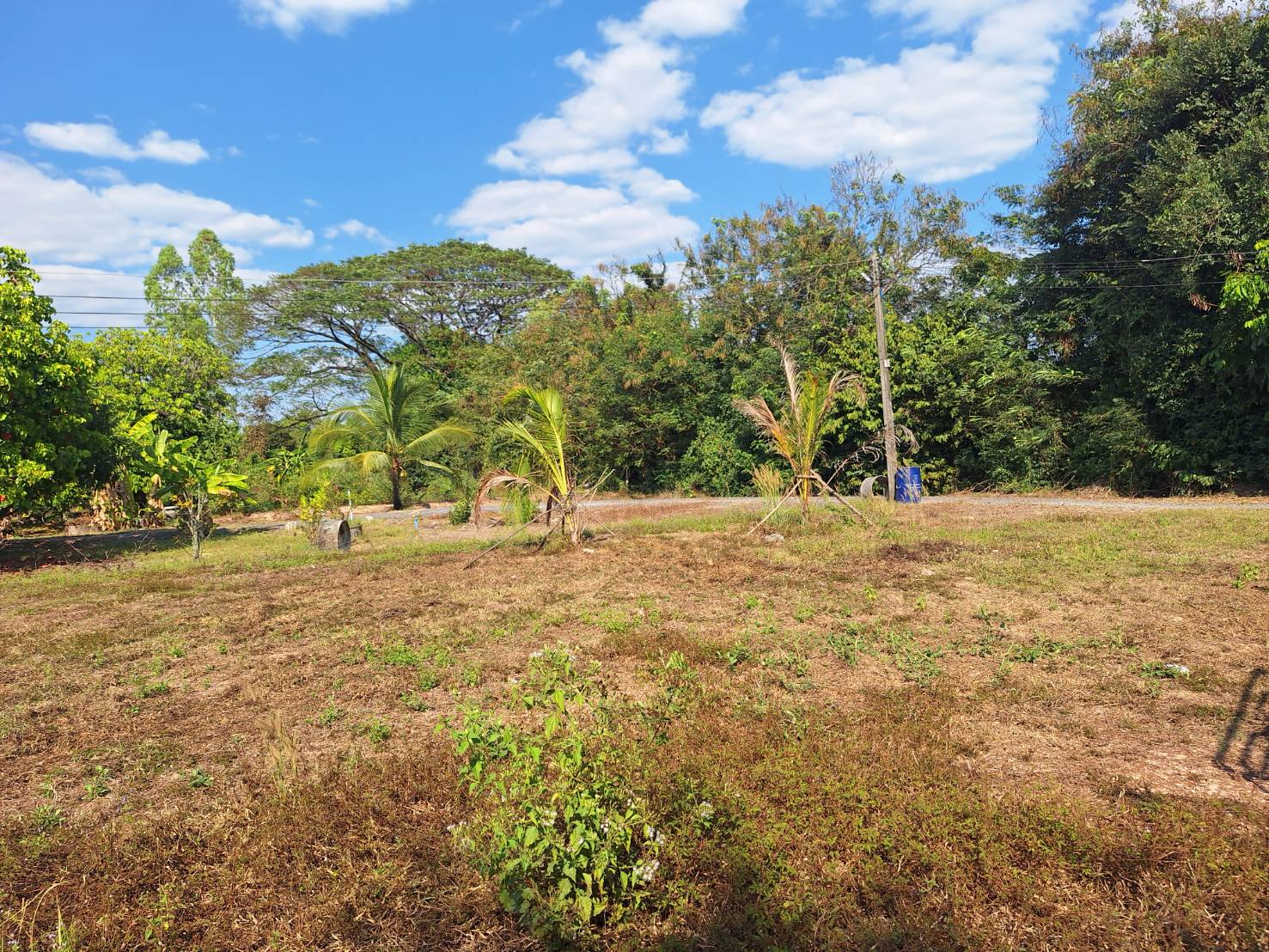 ประกาศฟรี! ซื้อ-ขาย-เช่า คอนโด บ้าน ทาวน์โฮม ที่ดิน และพื้นที่เชิงพาณิชย์ทั่วประเทศไทย ทุกทำเล ทุกงบประมาณ ไม่มีค่าใช้จ่าย ลงง่าย ขายไว เข้าถึงผู้ซื้อโดยตรง 5 293643pic4.jpg