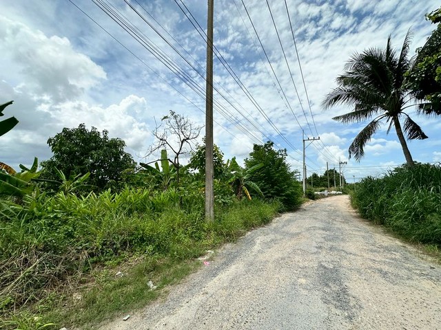 ประกาศฟรี! ซื้อ-ขาย-เช่า คอนโด บ้าน ทาวน์โฮม ที่ดิน และพื้นที่เชิงพาณิชย์ทั่วประเทศไทย ทุกทำเล ทุกงบประมาณ ไม่มีค่าใช้จ่าย ลงง่าย ขายไว เข้าถึงผู้ซื้อโดยตรง 5 295154pic4.jpg