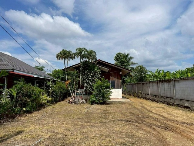 ประกาศฟรี! ซื้อ-ขาย-เช่า คอนโด บ้าน ทาวน์โฮม ที่ดิน และพื้นที่เชิงพาณิชย์ทั่วประเทศไทย ทุกทำเล ทุกงบประมาณ ไม่มีค่าใช้จ่าย ลงง่าย ขายไว เข้าถึงผู้ซื้อโดยตรง 3 248909pic2.jpg