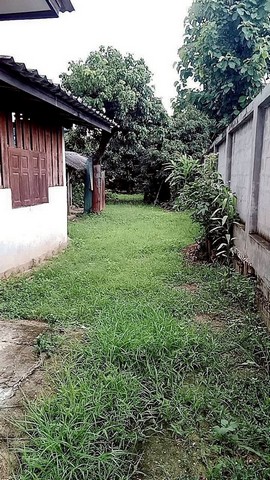 ประกาศฟรี! ซื้อ-ขาย-เช่า คอนโด บ้าน ทาวน์โฮม ที่ดิน และพื้นที่เชิงพาณิชย์ทั่วประเทศไทย ทุกทำเล ทุกงบประมาณ ไม่มีค่าใช้จ่าย ลงง่าย ขายไว เข้าถึงผู้ซื้อโดยตรง 4 248909pic3.jpg