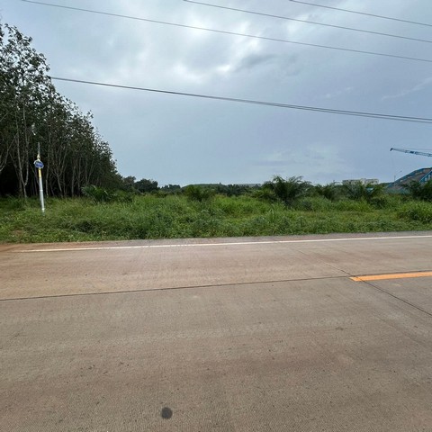 ประกาศฟรี! ซื้อ-ขาย-เช่า คอนโด บ้าน ทาวน์โฮม ที่ดิน และพื้นที่เชิงพาณิชย์ทั่วประเทศไทย ทุกทำเล ทุกงบประมาณ ไม่มีค่าใช้จ่าย ลงง่าย ขายไว เข้าถึงผู้ซื้อโดยตรง 3 313691pic2.jpg